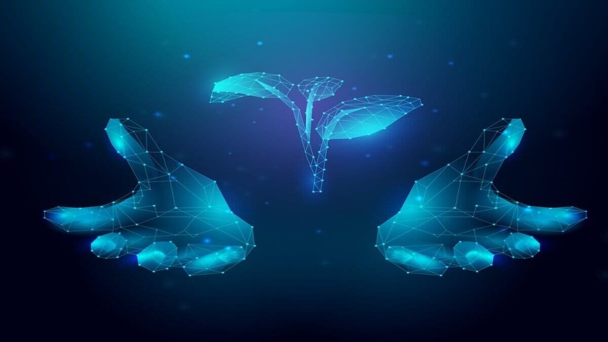 A Dive into Technology and Sustainability