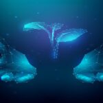 A Dive into Technology and Sustainability